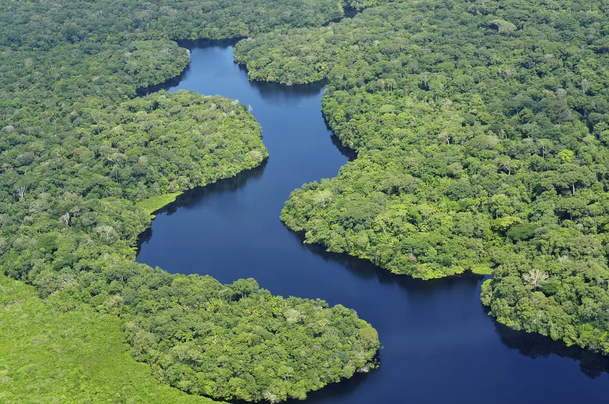 A dark channel winding through the forest