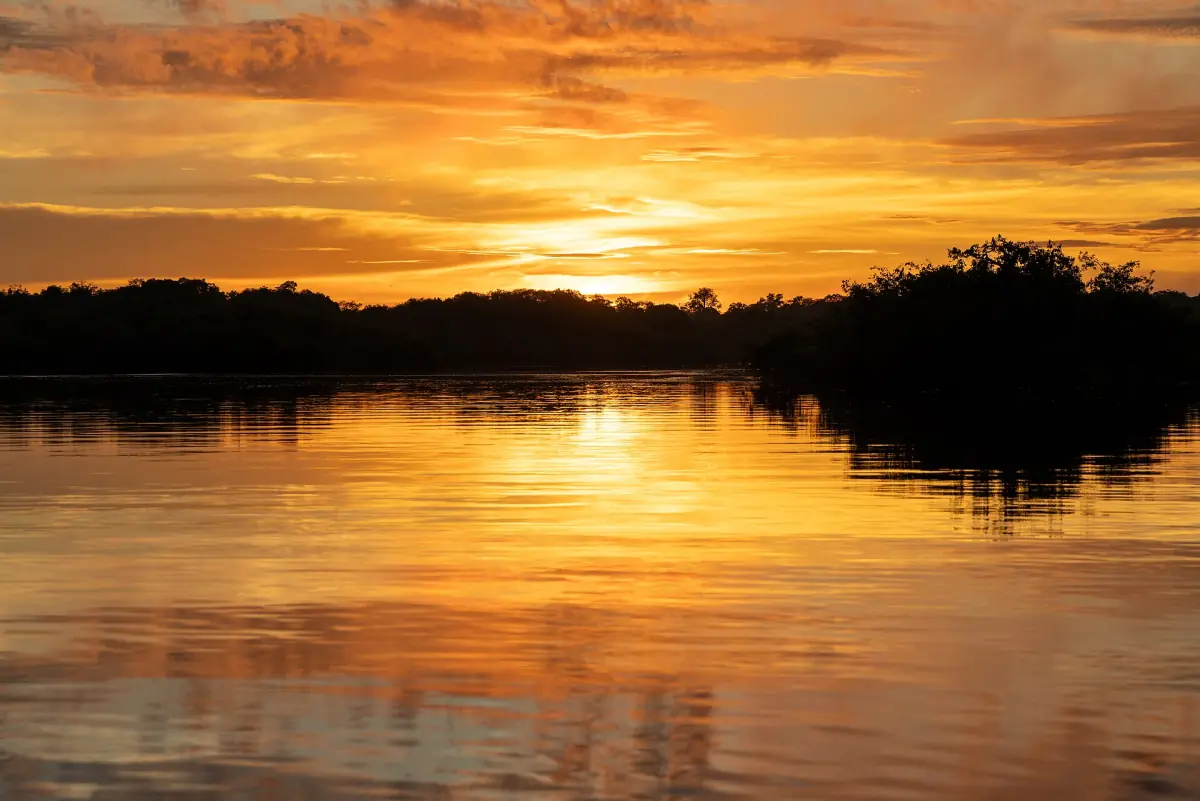 A golden sunset over the forest and water