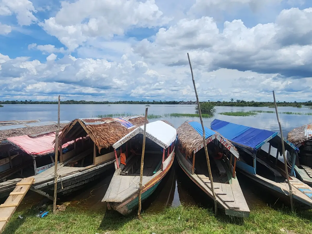 Covered canoes on the river bank