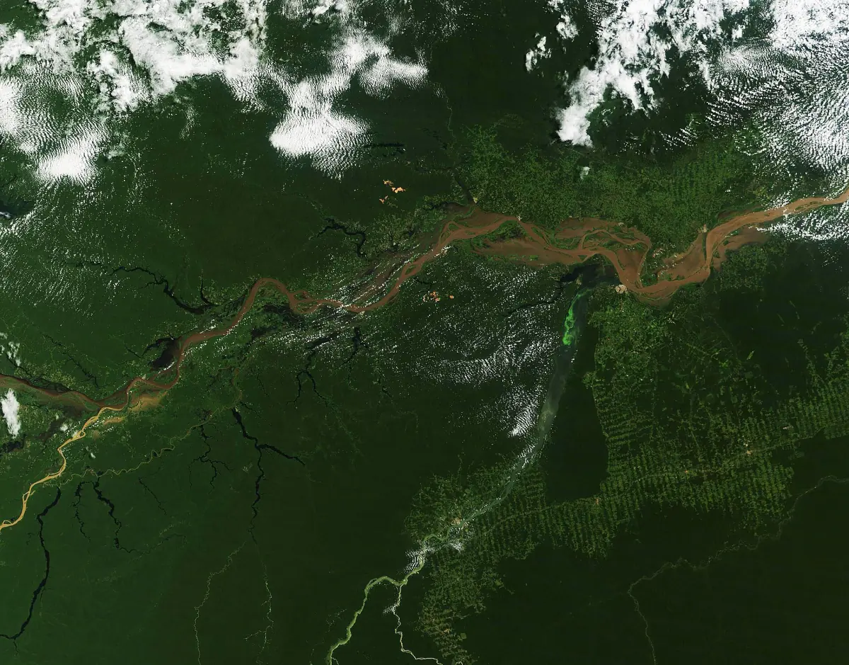 Satellite view of the Amazon River in 2025