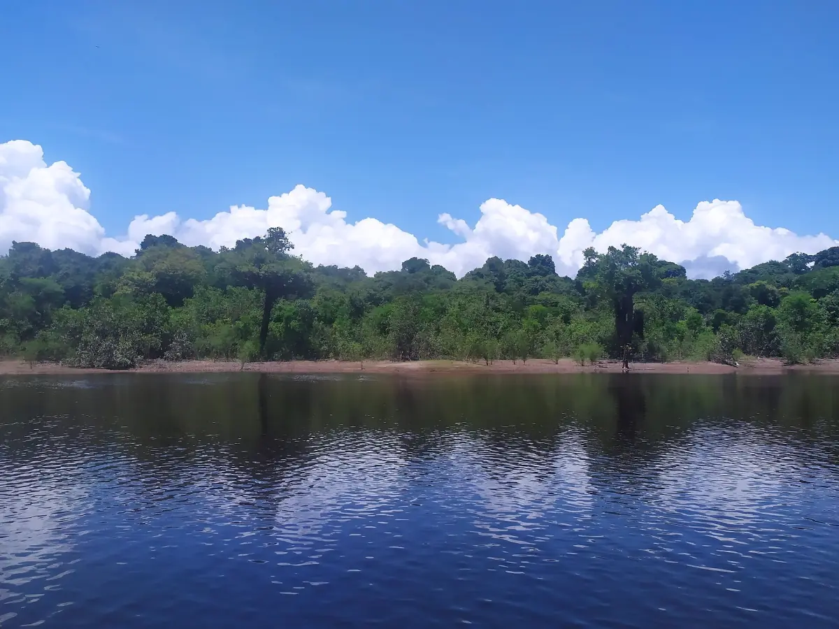 Calm water at the Anavilhanas archipelago