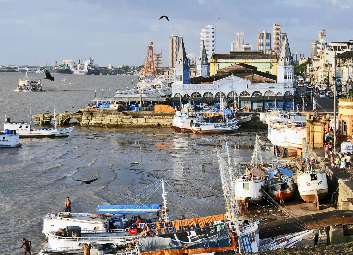 Boats at the fishing port of Belém
