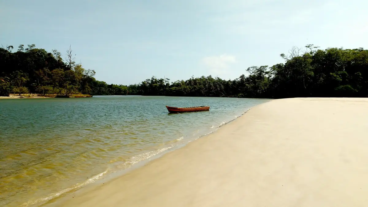 The shore of Marajó Island