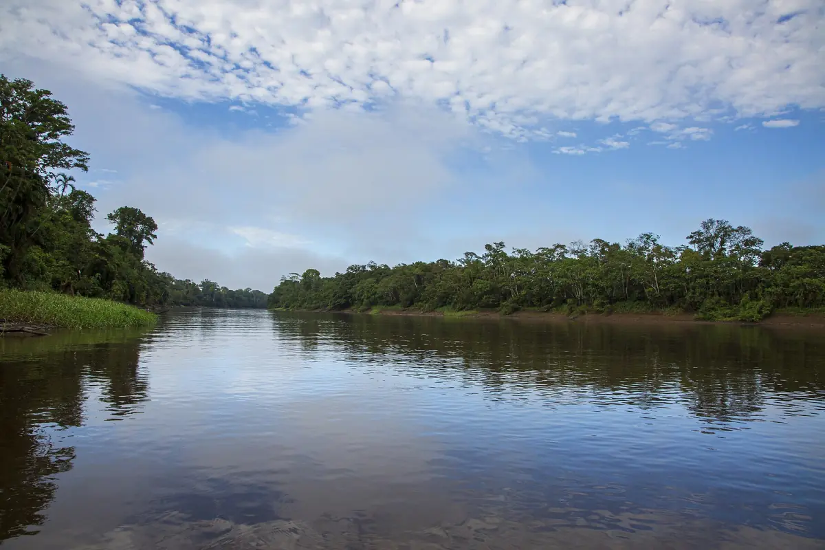 Forest reflected in calm water at Pacaya Samiria