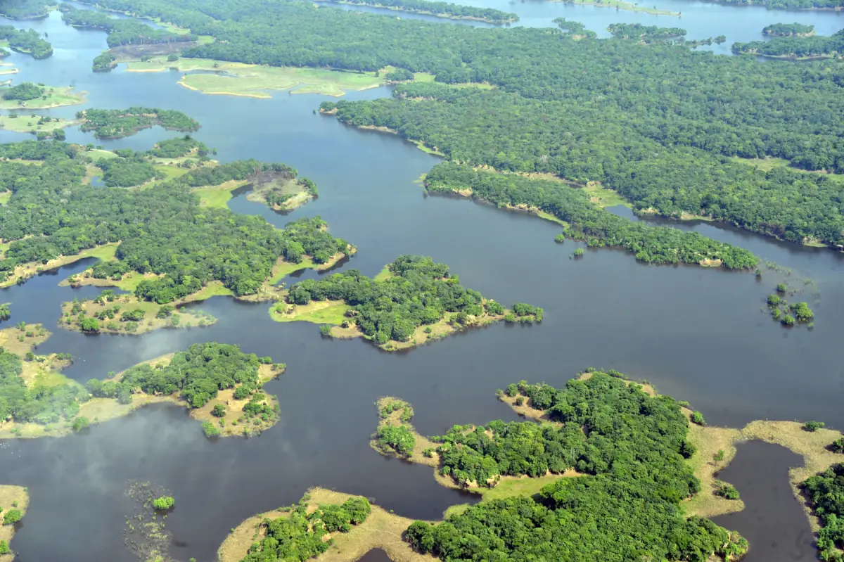 Aerial view of the Solimões with islands and flooded forest